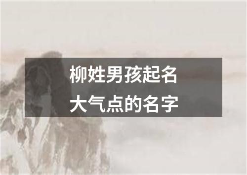 柳姓男孩起名大气点的名字