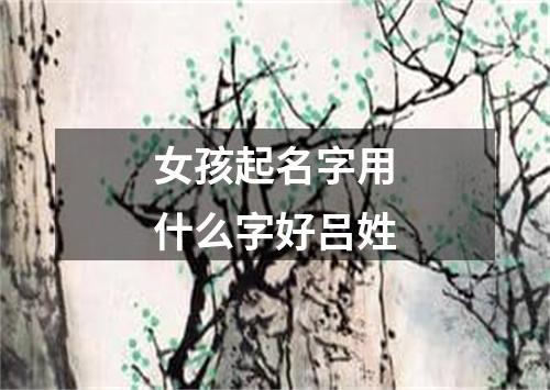 女孩起名字用什么字好吕姓