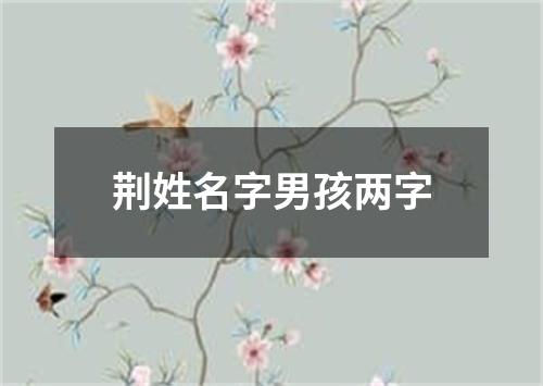 荆姓名字男孩两字