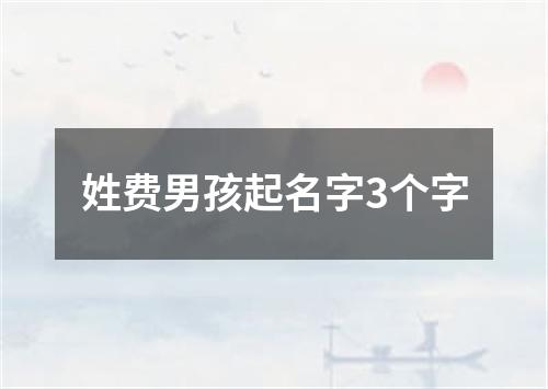 姓费男孩起名字3个字