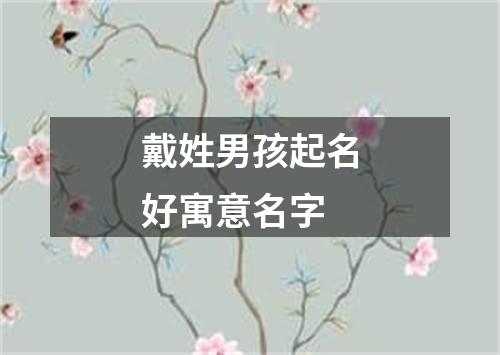 戴姓男孩起名好寓意名字