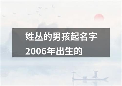 姓丛的男孩起名字2006年出生的