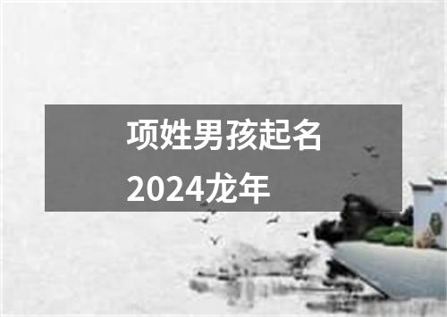 项姓男孩起名2024龙年