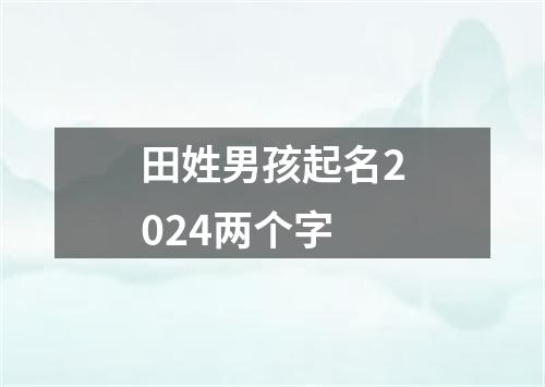 田姓男孩起名2024两个字