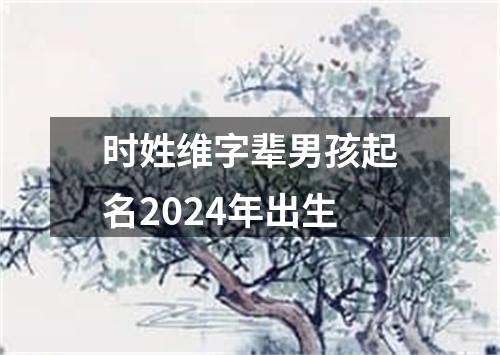 时姓维字辈男孩起名2024年出生