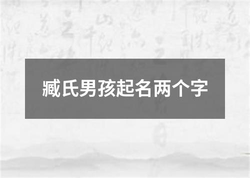 臧氏男孩起名两个字