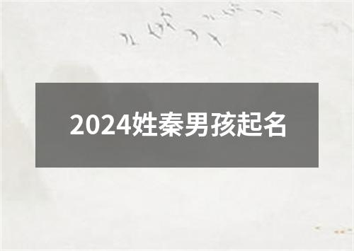 2024姓秦男孩起名