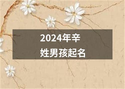 2024年辛姓男孩起名