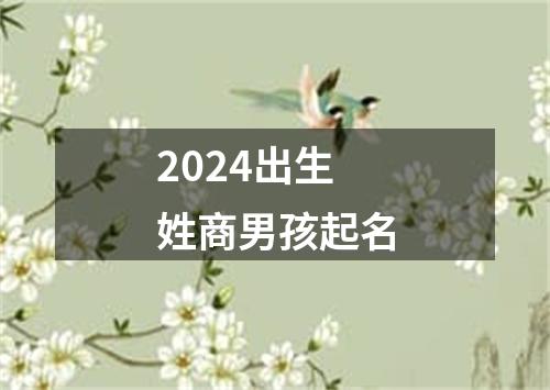 2024出生姓商男孩起名