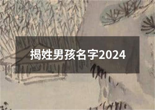 揭姓男孩名字2024