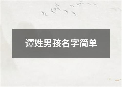 谭姓男孩名字简单