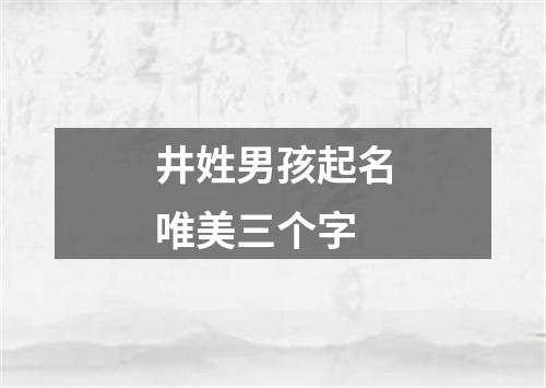 井姓男孩起名唯美三个字