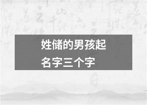 姓储的男孩起名字三个字