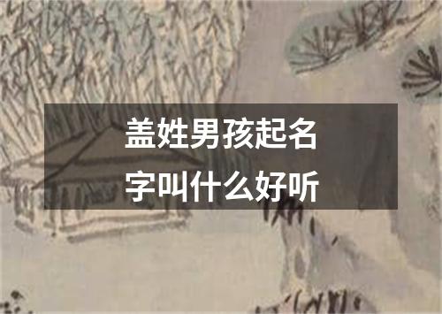 盖姓男孩起名字叫什么好听