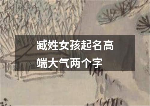 臧姓女孩起名高端大气两个字