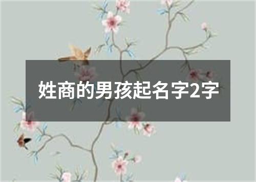 姓商的男孩起名字2字