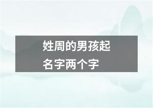 姓周的男孩起名字两个字