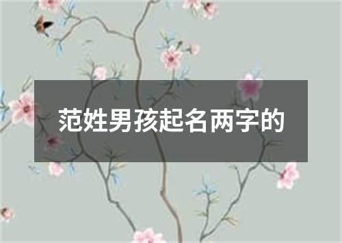 范姓男孩起名两字的