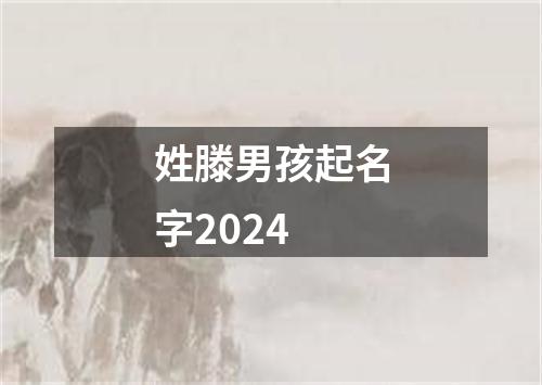 姓滕男孩起名字2024