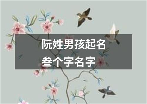 阮姓男孩起名叁个字名字