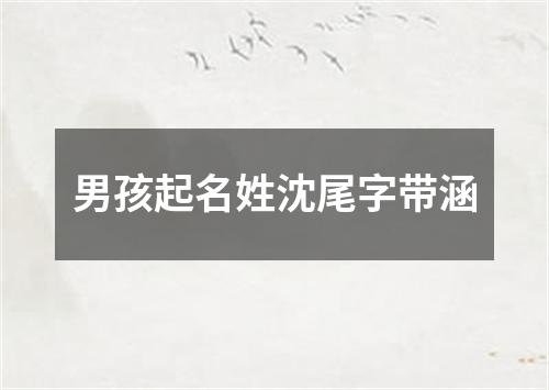 男孩起名姓沈尾字带涵