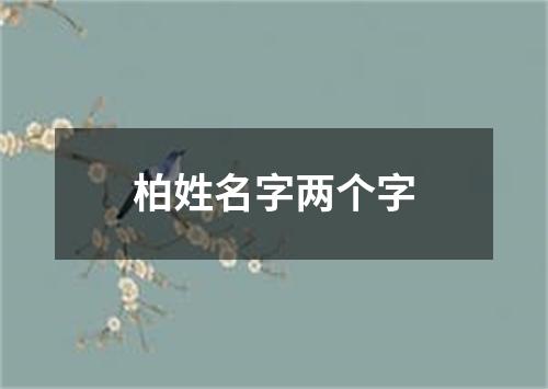 柏姓名字两个字