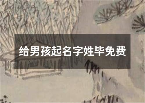 给男孩起名字姓毕免费