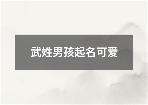 武姓男孩起名可爱