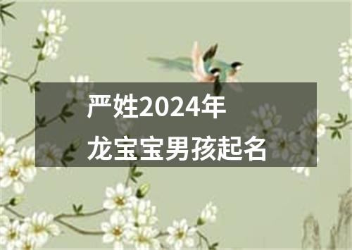 严姓2024年龙宝宝男孩起名