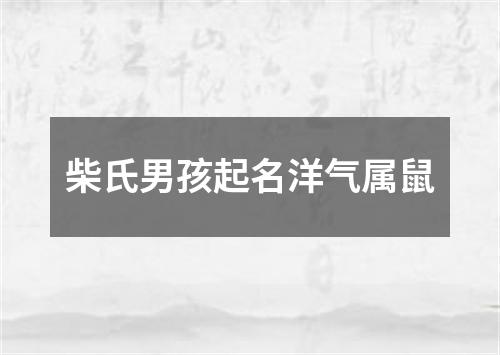 柴氏男孩起名洋气属鼠