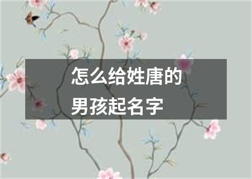 怎么给姓唐的男孩起名字