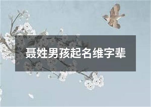 聂姓男孩起名维字辈