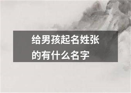 给男孩起名姓张的有什么名字