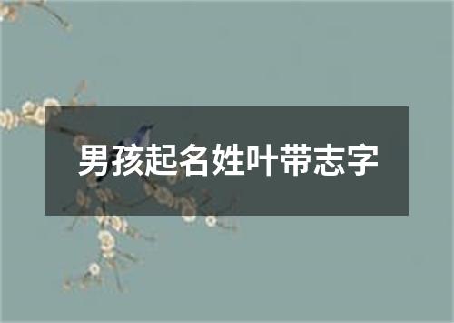 男孩起名姓叶带志字