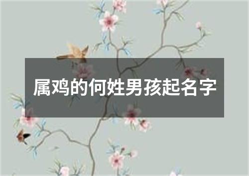 属鸡的何姓男孩起名字