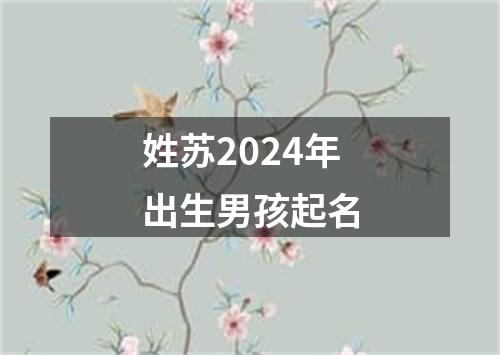 姓苏2024年出生男孩起名