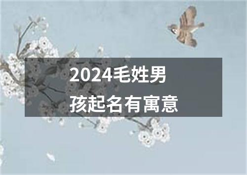 2024毛姓男孩起名有寓意