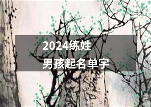 2024练姓男孩起名单字