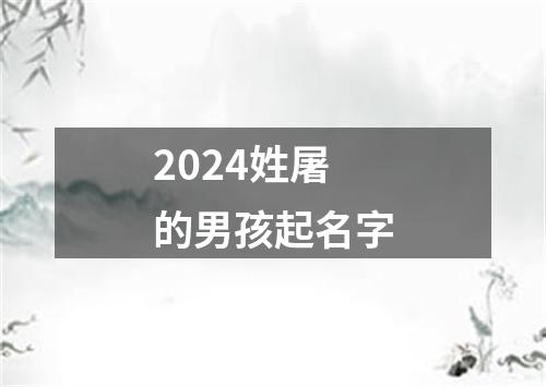 2024姓屠的男孩起名字