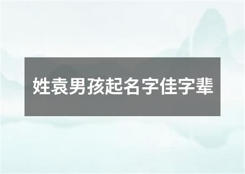 姓袁男孩起名字佳字辈