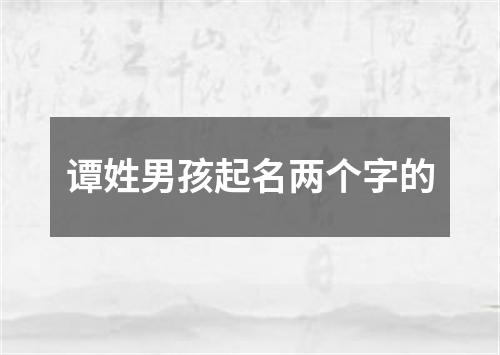 谭姓男孩起名两个字的