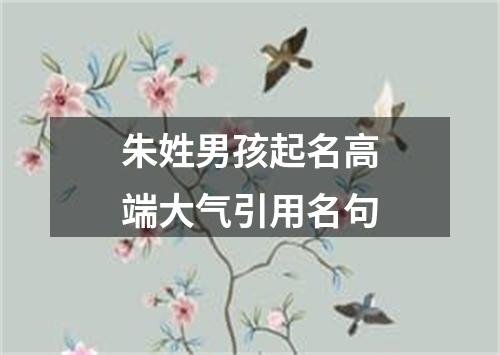 朱姓男孩起名高端大气引用名句