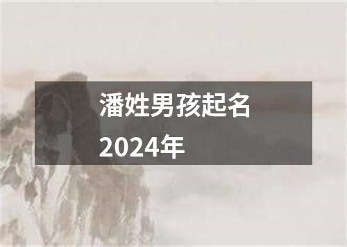 潘姓男孩起名2024年