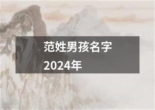 范姓男孩名字2024年