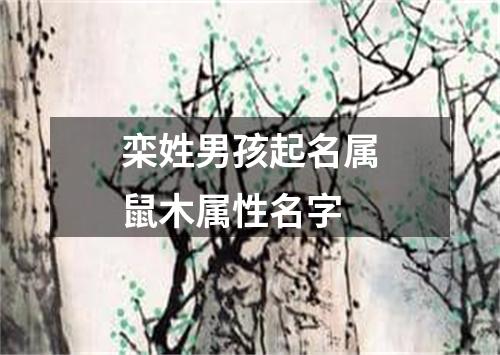 栾姓男孩起名属鼠木属性名字