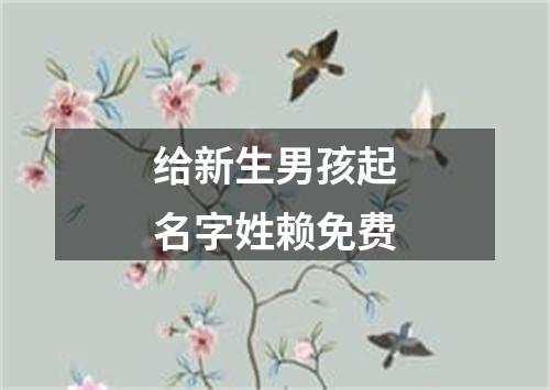 给新生男孩起名字姓赖免费