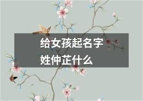 给女孩起名字姓仲芷什么