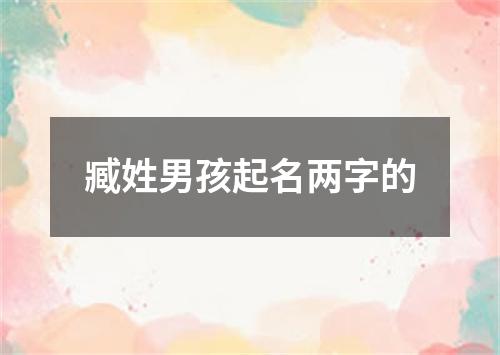 臧姓男孩起名两字的