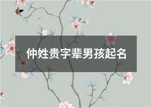 仲姓贵字辈男孩起名