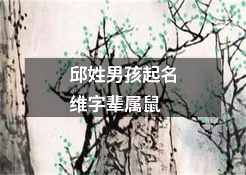 邱姓男孩起名维字辈属鼠